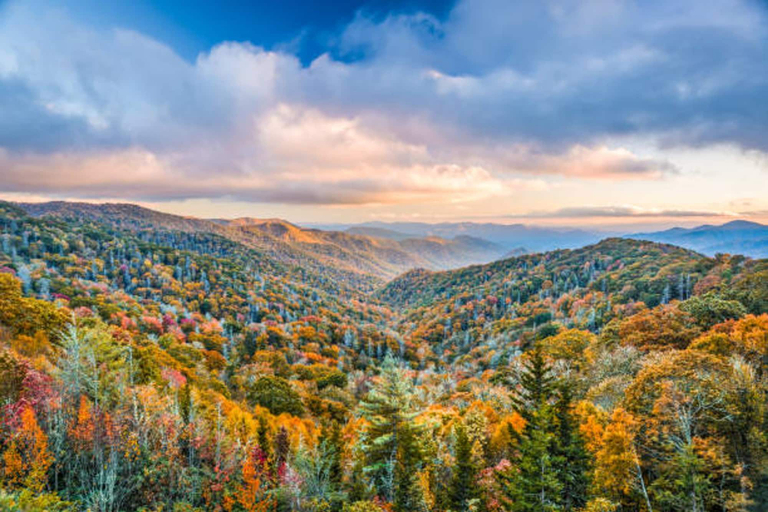 Room 3, Mountain Breeze Cabin by Beyond Expectations With Hot Tub, Sevier