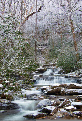 Room 4, Breezy Ridge Cabin by Beyond Expectations With Hot Tub, Sevier