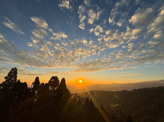 Miscellaneous 2, The Tea Tribe Stay - Offbeat Darjeeling, Darjiling