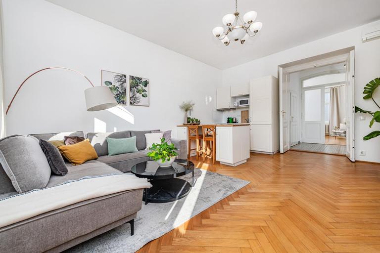 Others 5, Charming Apartment In Famous Area, Praha 1