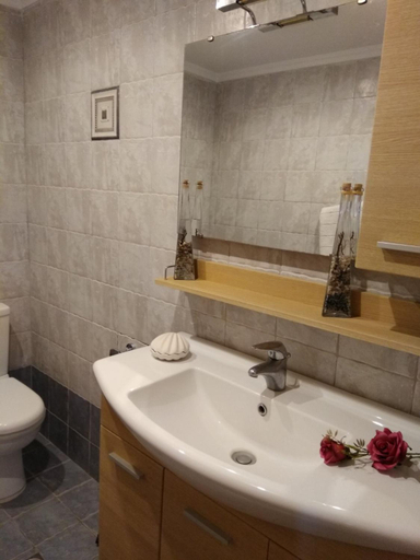 Bathroom, Vromolithos apartments, South Aegean