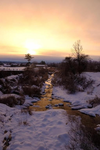 Miscellaneous 5, world curry house spice road, Unknown3