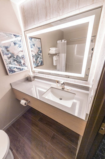 Bathroom 3, Diamond Jo Casino & Hotel, Worth