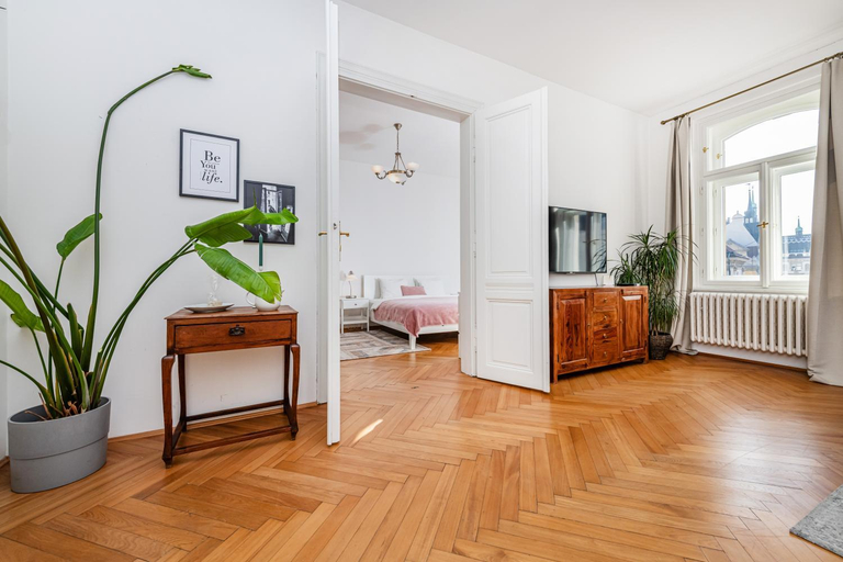 Others 5, Charming Apartment In Famous Area, Praha 1