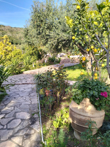 Others 4, Thea's Apartment, Epirus
