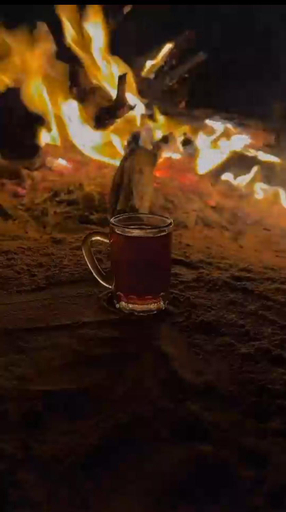 Food & Drinks 4, Dana Village Lodge, Bsaira