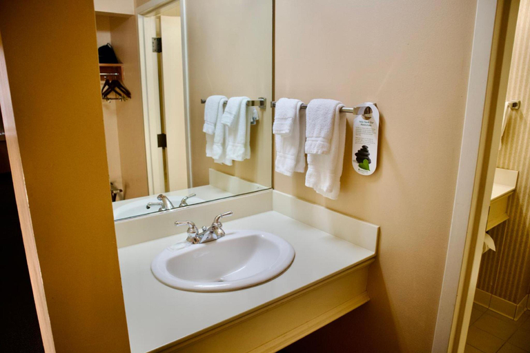 Bathroom 4, Hotel Mead and Conference Center, Wood