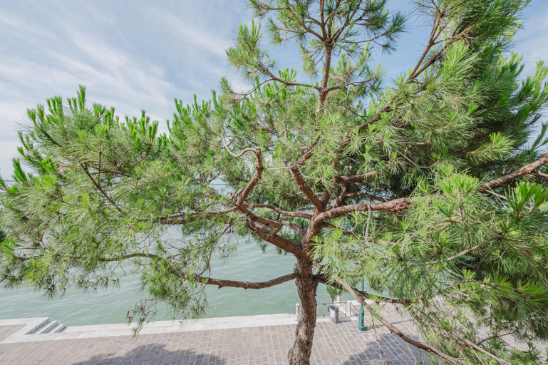 Miscellaneous 3, Lagoon View, Venezia