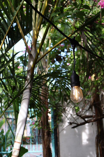 Food & Drinks 5, Hostel, Cafe & Garden Travelers, Santiago