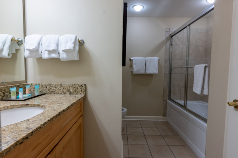 Bathroom 5, 208 Royale Palms 3 Bedroom Condo, Horry