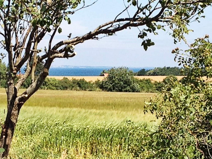 Others 4, Pet Friendly Holiday Home in Bogense with Hot Tub, Nordfyns