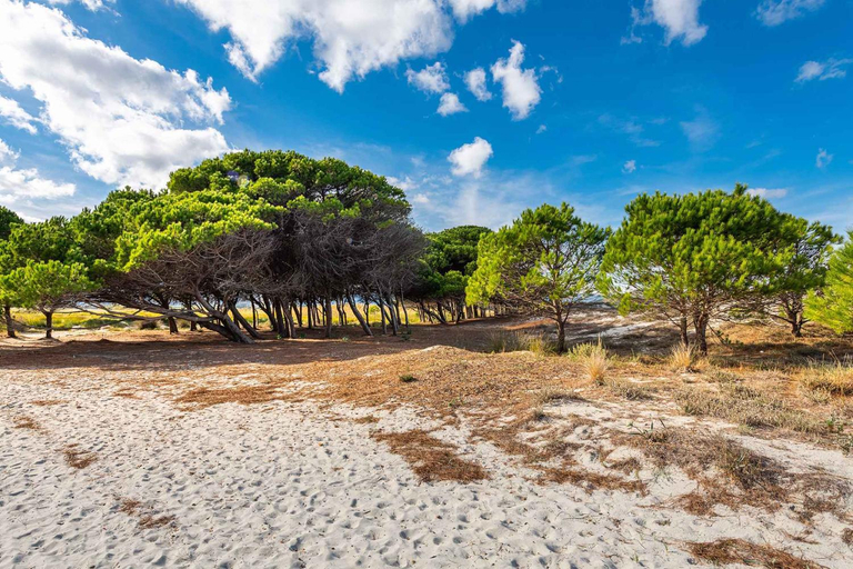 Others 5, House and Apts. Siniscola - Sardinien 35758, Nuoro