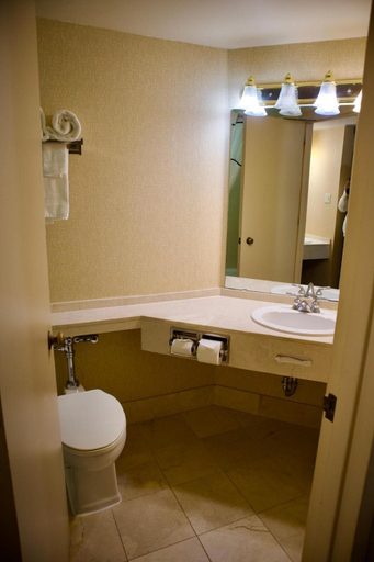 Bathroom 4, Hotel Mead and Conference Center, Wood