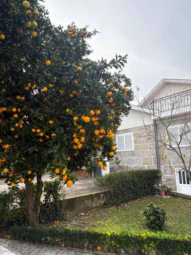 Exterior & Views 4, Souto Guimaraes Country House, Braga