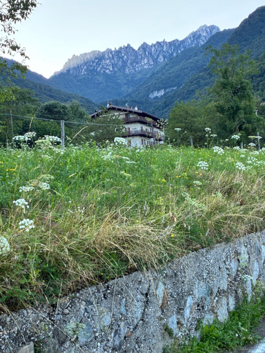 Others 4, Casa Mario, Trento
