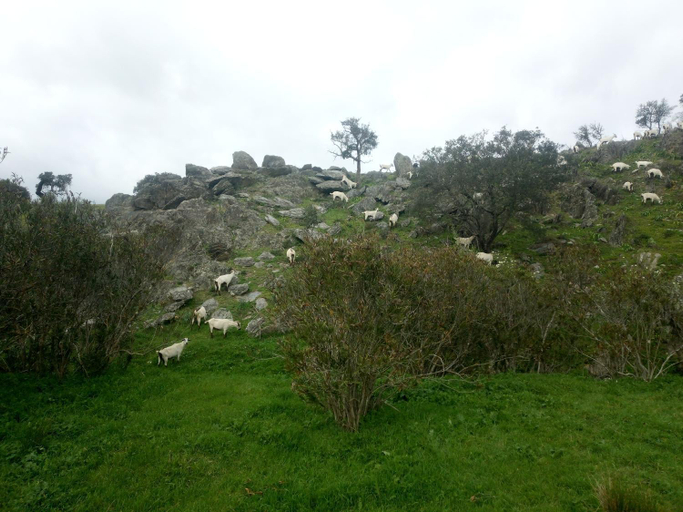 Others 4, Herdade dos Mestres, Alandroal