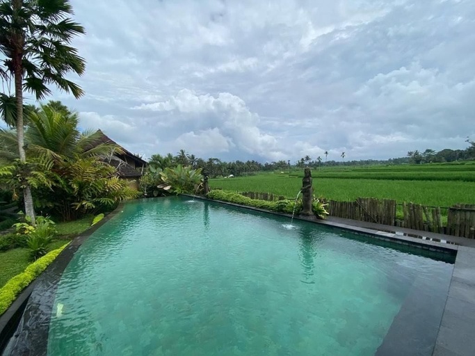 Pool, Padi Bali Villa with Private Jacuzzi, Gianyar