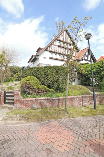 Primary image