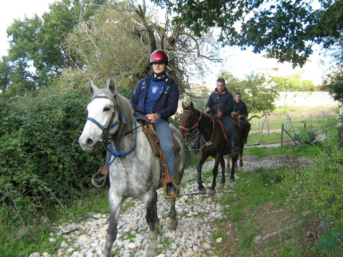 Others 5, Agriturismo Baglio San Pietro, Enna