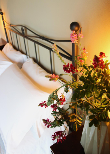 Bedroom 2, Agriturismo Ceriano, Forli' - Cesena