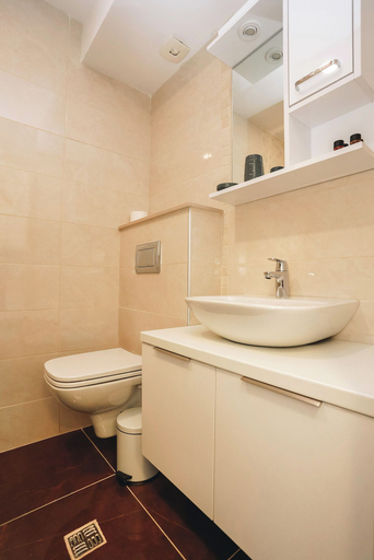 Bathroom 3, Ststus M apartments 102