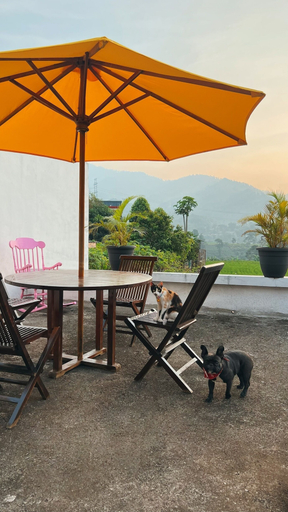 Pet-friendly 5, Villa Feridys, Bandung