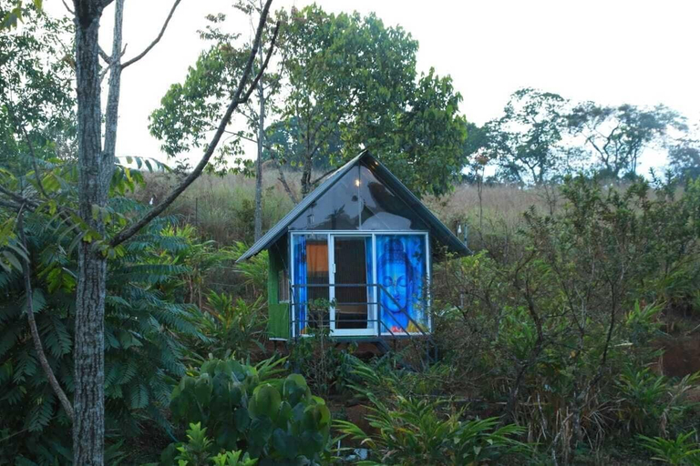 Exterior 4, NOMADIC MOUNTY SATHRAM, Idukki