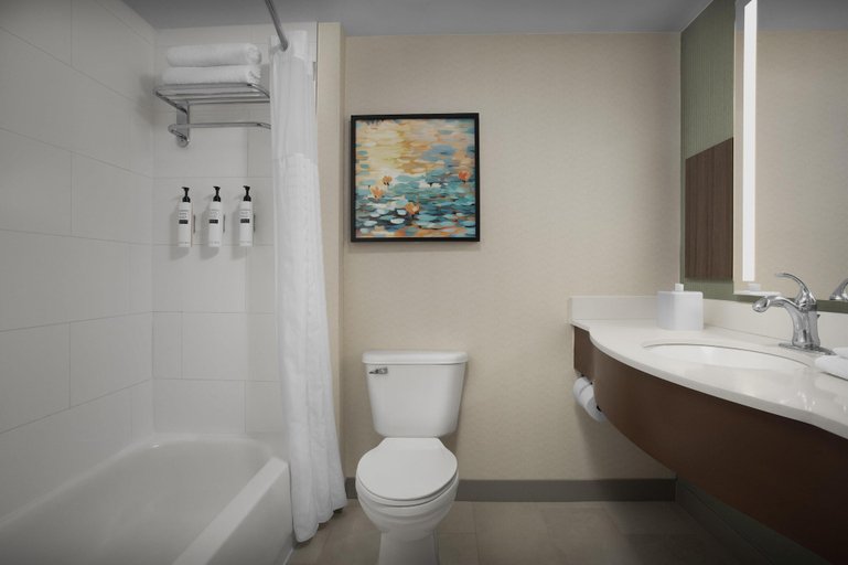 Bathroom 4, Hilton Garden Inn Westbury, Nassau