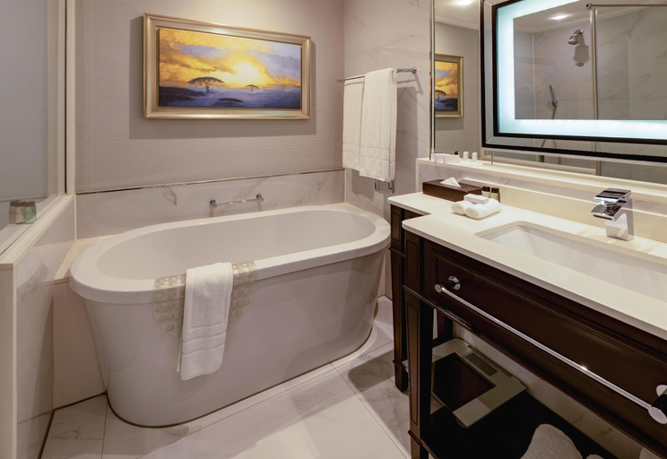 Bathroom 5, Sandton Sun & Towers, City of Johannesburg