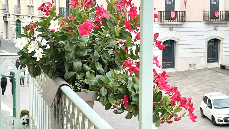 5, Bayab Charming Rooms - Corso Garibaldi, Benevento