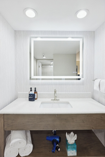 Bathroom 5, 456 Embarcadero Inn & Suites, San Luis Obispo