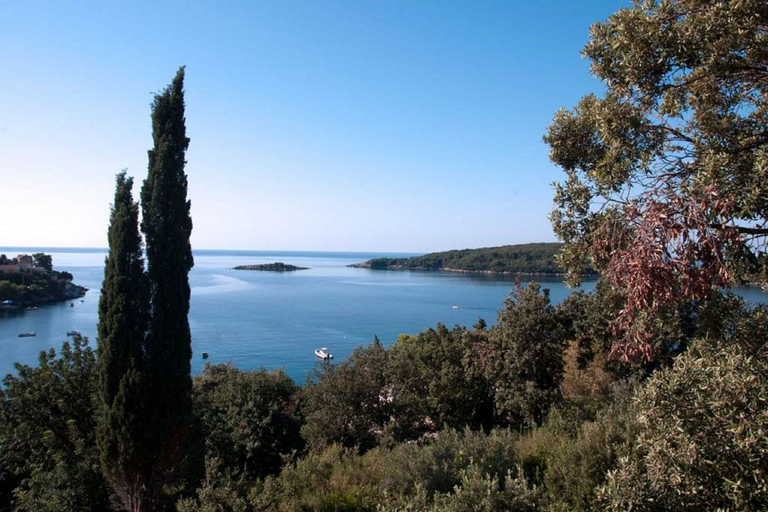 Aerial view 4, Apartment Iva, Konavle
