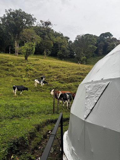 Miscellaneous 5, Epífita Glamping Monteverde, Abangares