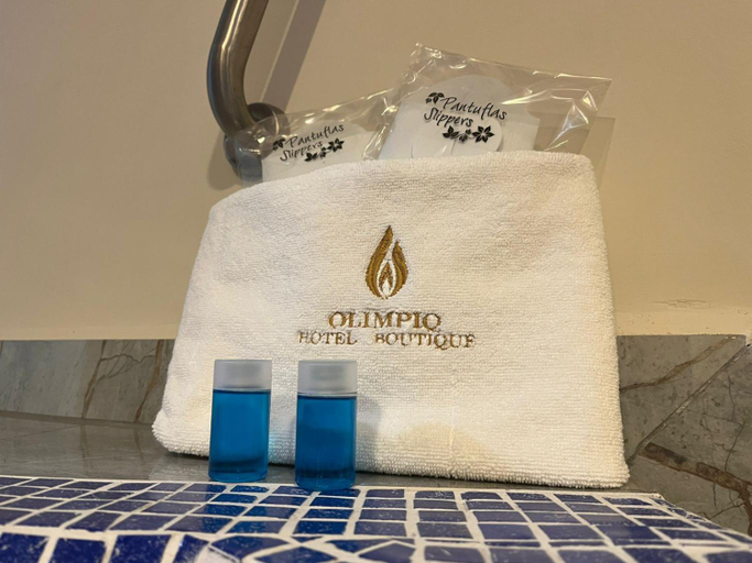 Hot tub 2, Hotel Olimpica Boutique, Mexico City
