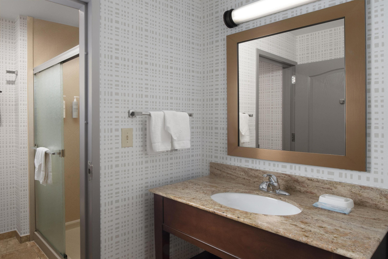 Bathroom 4, Hampton Inn Magnolia, Columbia