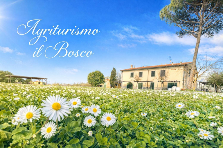Others 4, Il Bosco Agriturismo, Livorno