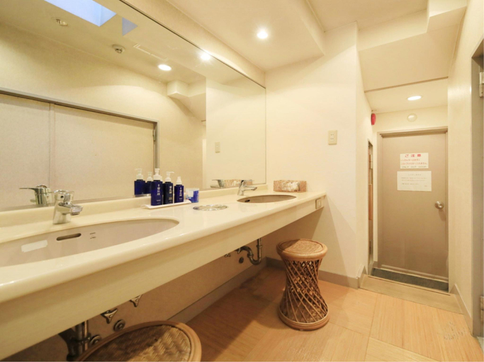 Bathroom 4, Fujinoya Yutei, Fuefuki