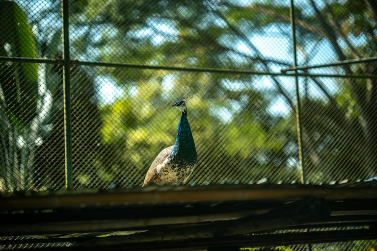 Others 4, Mon Kiang-Dao Resort, Chiang Dao