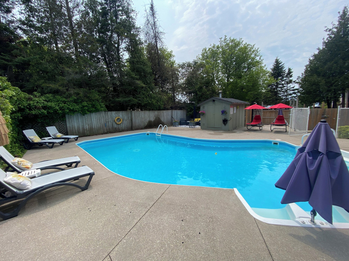Pool, Black Horse Motor Inn, Lake Hurron