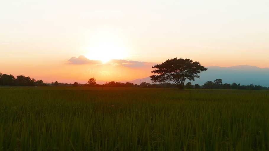 Others 4, Sanjana Resort and Spa, Doi Saket