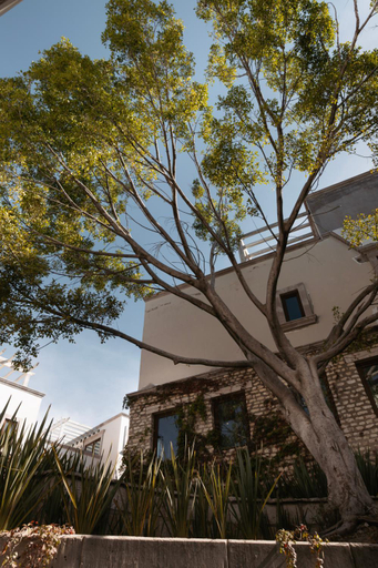 Exterior view 4, Trobbu Boutique Collection San Miguel de Allende - All Inclusive, Allende