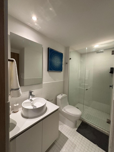 Bathroom 4, Torre Roma Norte, Mexico City