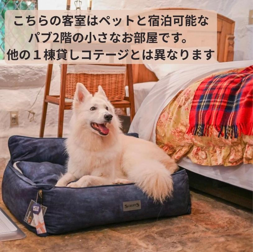 Bedroom 1, Dreamton Village, Kameoka