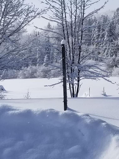 Others 5, SPA private pond and beach volleyball, Les Laurentides