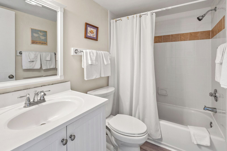 Bathroom 4, Sea Cloisters 203b, Horry