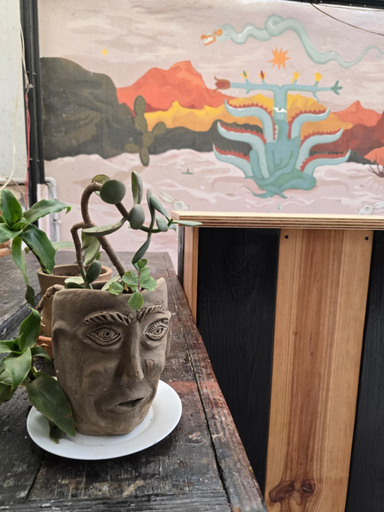 2, Casa del Árbol Xochimilco, Del Centro
