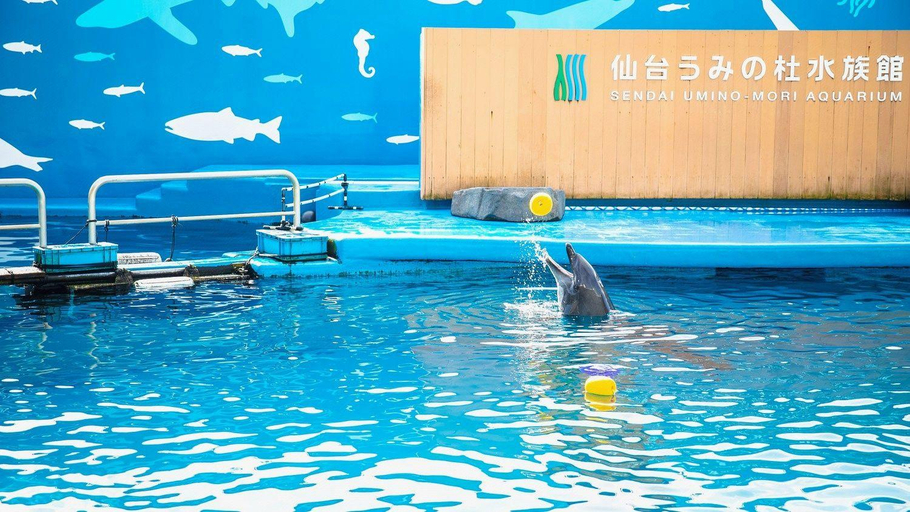 Sport & Beauty 2, Super Hotel Sendaieki Higashiguchi Tennenonsen, Sendai