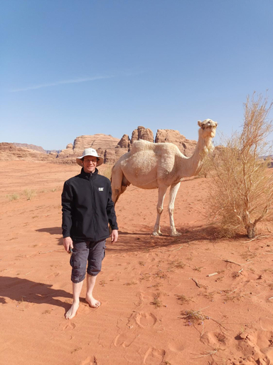 Others 5, Wadi Rum moon, Quaira