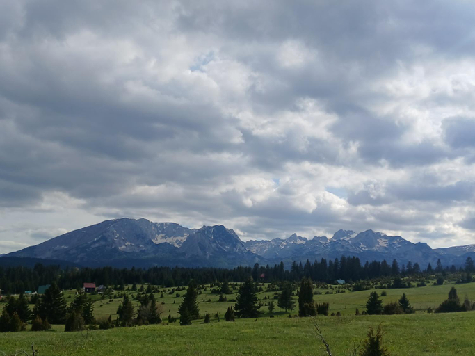 Others 4, D&N place - forest house Zabljak