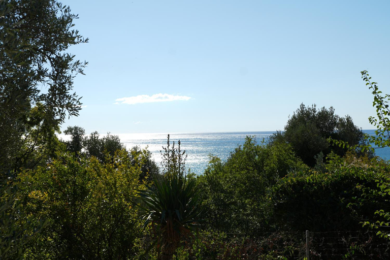 Others 3, Vila Brca